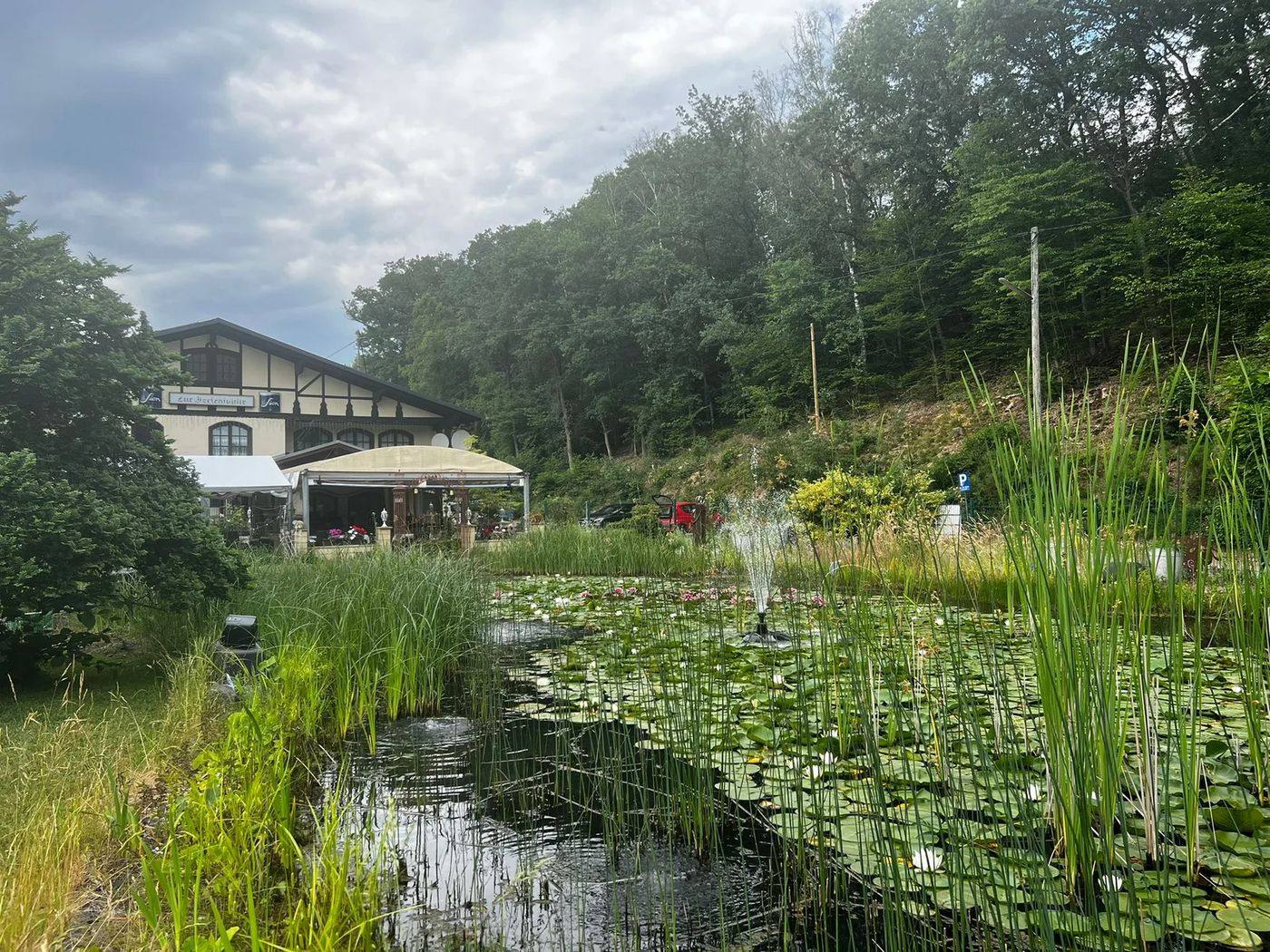 Der See mit Seerosen vor dem Restaurant La Fonte, umgeben von Wald